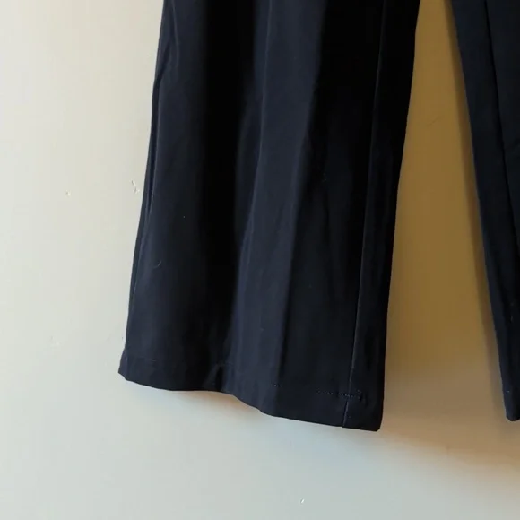 American Eagle Flat Wide Leg Pant - Picture 11 of 14